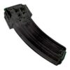 Champion Ruger 10/22 .22 LR 30-Round Magazine